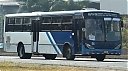 sjb17647.JPG