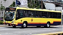 sjb15312.JPG