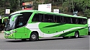 sjb16063-1.JPG