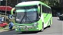 sjb16065-g.JPG