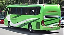 sjb16069-tiz.JPG