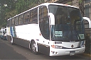 SJB7799-1.jpg