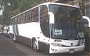 SJB7799-2.jpg