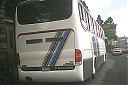 SJB7799-3.jpg