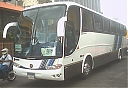 SJB7799.jpg