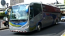 sjb10459.jpg