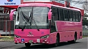 sjb15752.JPG