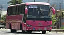 sjb15808.JPG