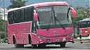 sjb15814.JPG