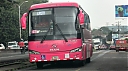 sjb15822.JPG