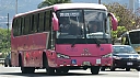 sjb15824.JPG