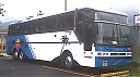 SJB5637-1.jpg